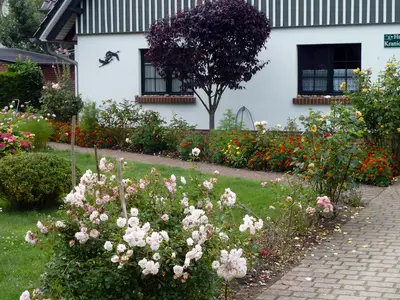 Ferienwohnung für 2 Personen (40 m²) in Zingst (Ostseebad) 10/10