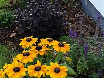 Ferienwohnung für 2 Personen (40 m²) in Zingst (Ostseebad) 10/10