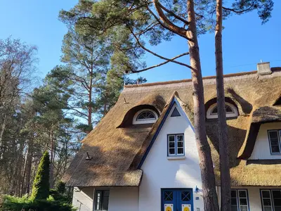 Ferienwohnung für 3 Personen (55 m²) in Zingst 2/10