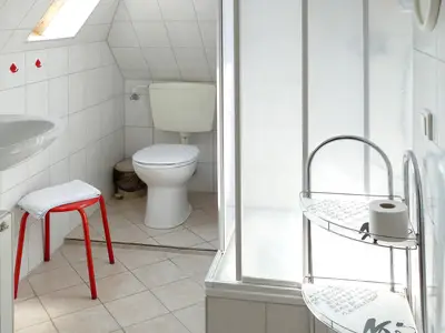 Ferienwohnung für 2 Personen (35 m²) in Zingst (Ostseebad) 5/8