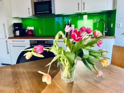 Ferienwohnung für 4 Personen (67 m²) in Zingst 7/10