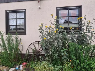 Ferienwohnung für 2 Personen (24 m²) in Zingst (Ostseebad) 6/10