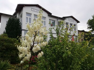 Ferienwohnung für 3 Personen (33 m²) in Zinnowitz 1/10