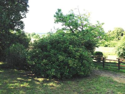 Ferienwohnung für 2 Personen (18 m²) in Zinnowitz 7/10