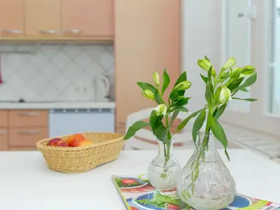 Ferienwohnung für 4 Personen (41 m²) in Zinnowitz 10/10