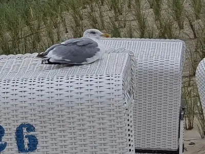 Ferienwohnung für 5 Personen in Zinnowitz 4/10