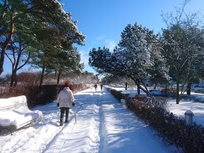 Ferienwohnung für 2 Personen (48 m²) in Zinnowitz 4/10