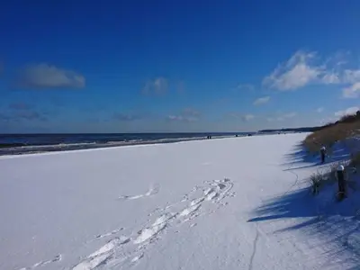 Ferienwohnung für 2 Personen (48 m²) in Zinnowitz 5/10