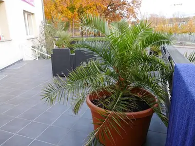 Ferienwohnung für 6 Personen (140 m²) in Zinnowitz 4/10