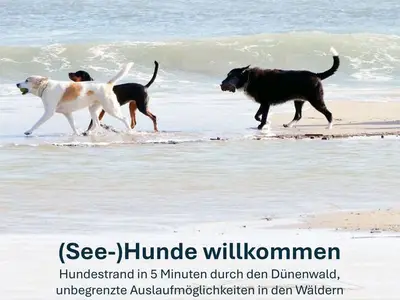 Ferienwohnung für 7 Personen (75 m²) in Zinnowitz 3/10