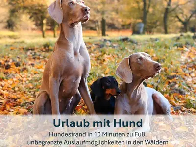 Ferienwohnung für 7 Personen (75 m²) in Zinnowitz 5/10