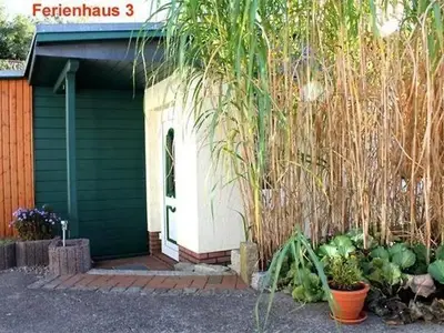 Ferienwohnung für 4 Personen (50 m²) in Zinnowitz 4/10