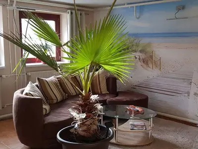 Ferienwohnung für 3 Personen (50 m²) in Zinnowitz 10/10