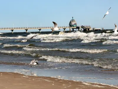 Ferienwohnung für 3 Personen (54 m²) in Zinnowitz 2/10