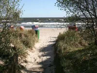 Ferienwohnung für 3 Personen (54 m²) in Zinnowitz 3/10
