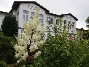 Ferienwohnung für 3 Personen (30 m²) in Zinnowitz
