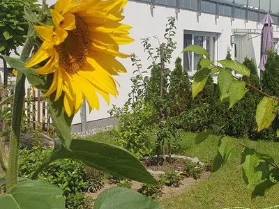 Ferienwohnung für 3 Personen (55 m²) in Zinnowitz 2/10