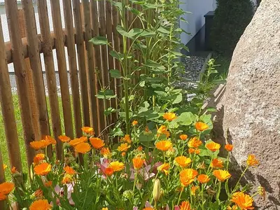 Ferienwohnung für 3 Personen (55 m²) in Zinnowitz 3/10