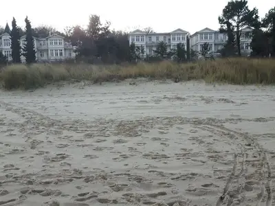 Ferienwohnung für 4 Personen (86 m²) in Zinnowitz 2/10