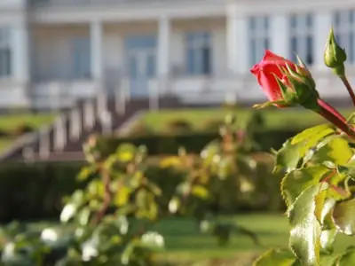 Ferienwohnung für 4 Personen (86 m²) in Zinnowitz 7/10