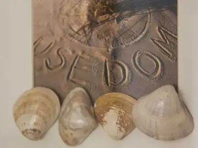 Ferienwohnung für 5 Personen (55 m²) in Zinnowitz 6/10