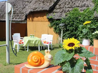 Ferienwohnung für 4 Personen (45 m²) in Zirchow 3/10