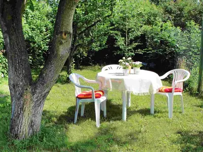 Ferienwohnung für 4 Personen (45 m²) in Zirchow 5/10