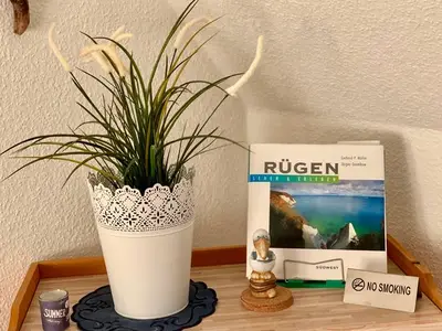 Ferienwohnung für 3 Personen (40 m²) in Zirkow (Rügen) 10/10