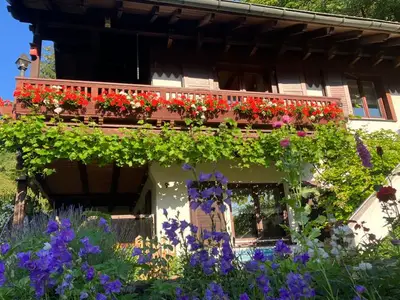 Ferienwohnung für 5 Personen (100 m²) in Walkenried 1/10