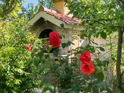 Ferienwohnung für 4 Personen in Zrnovnica 9/10