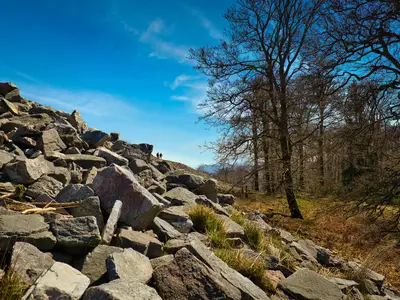 FeWo Am Nationalpark