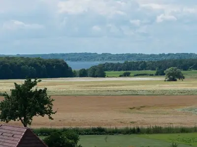 Ferienwohnung für 4 Personen (45 m²) in Zweedorf 5/10