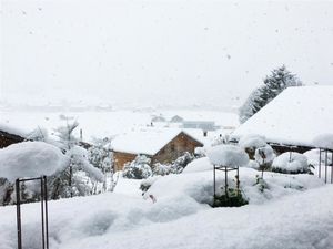 23837439-Ferienwohnung-2-Zweisimmen-300x225-4