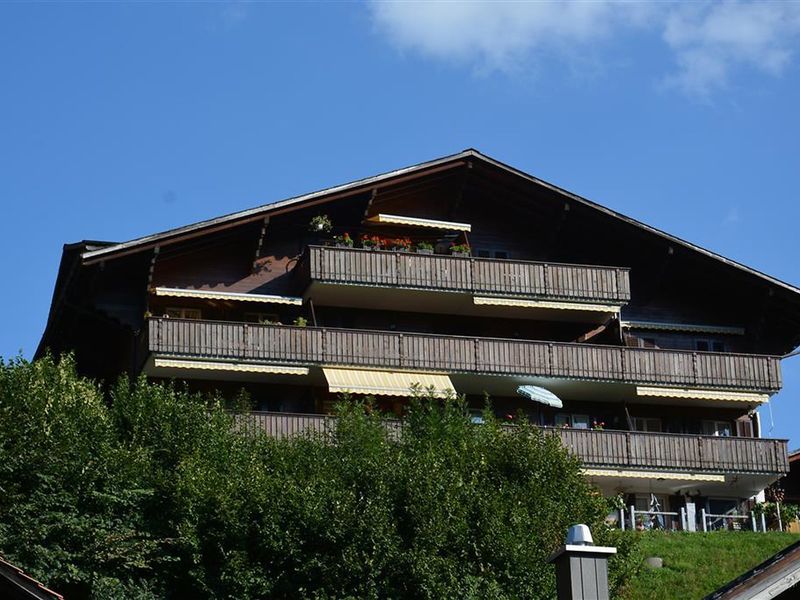 23838002-Ferienwohnung-4-Zweisimmen-800x600-0