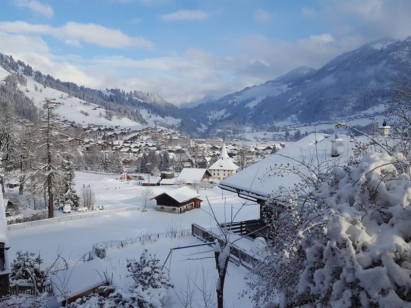 18371882-Ferienwohnung-7-Zweisimmen-800x600-2