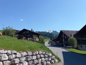 Vor dem Haus mit Kühen Sommer