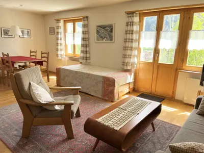 Wohn-Esszimmer mit Ausziehbett