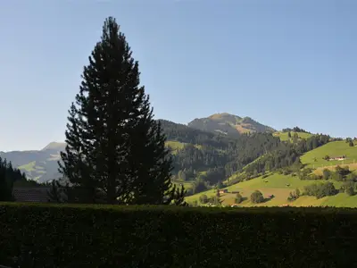 Aussicht (2)