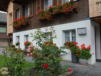Kleiner Garten (1)