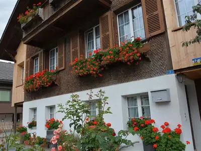 Kleiner Garten (2)