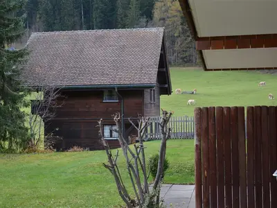 Aussicht (3)