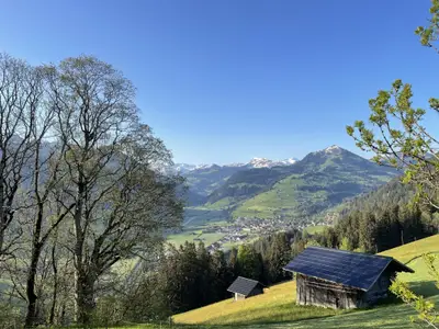 Frühling