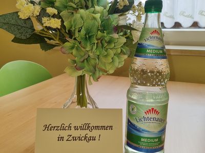 Ferienwohnung für 4 Personen (46 m²) in Zwickau 9/10