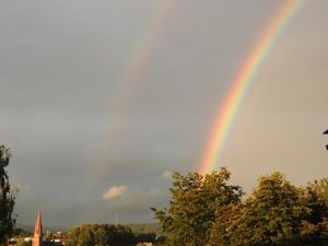 23130683-Ferienwohnung-3-Zwiesel-300x225-3