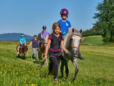 Reiten