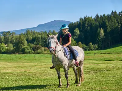 Pony Manchster