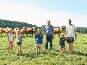 Ferienwohnung für 4 Personen (60 m²) in Zwiesel
