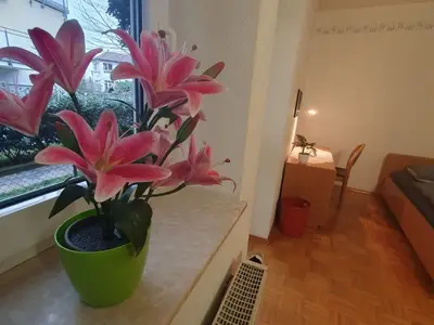 Ferienwohnung für 2 Personen (24 m²) in Zwingenberg 7/10