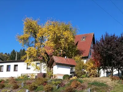 Fewo „Auf der Sonnenseite“ Oberzwota