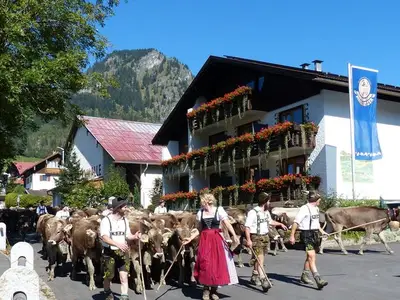 Hotel für 4 Personen (36 m²) in Bad Hindelang 6/10